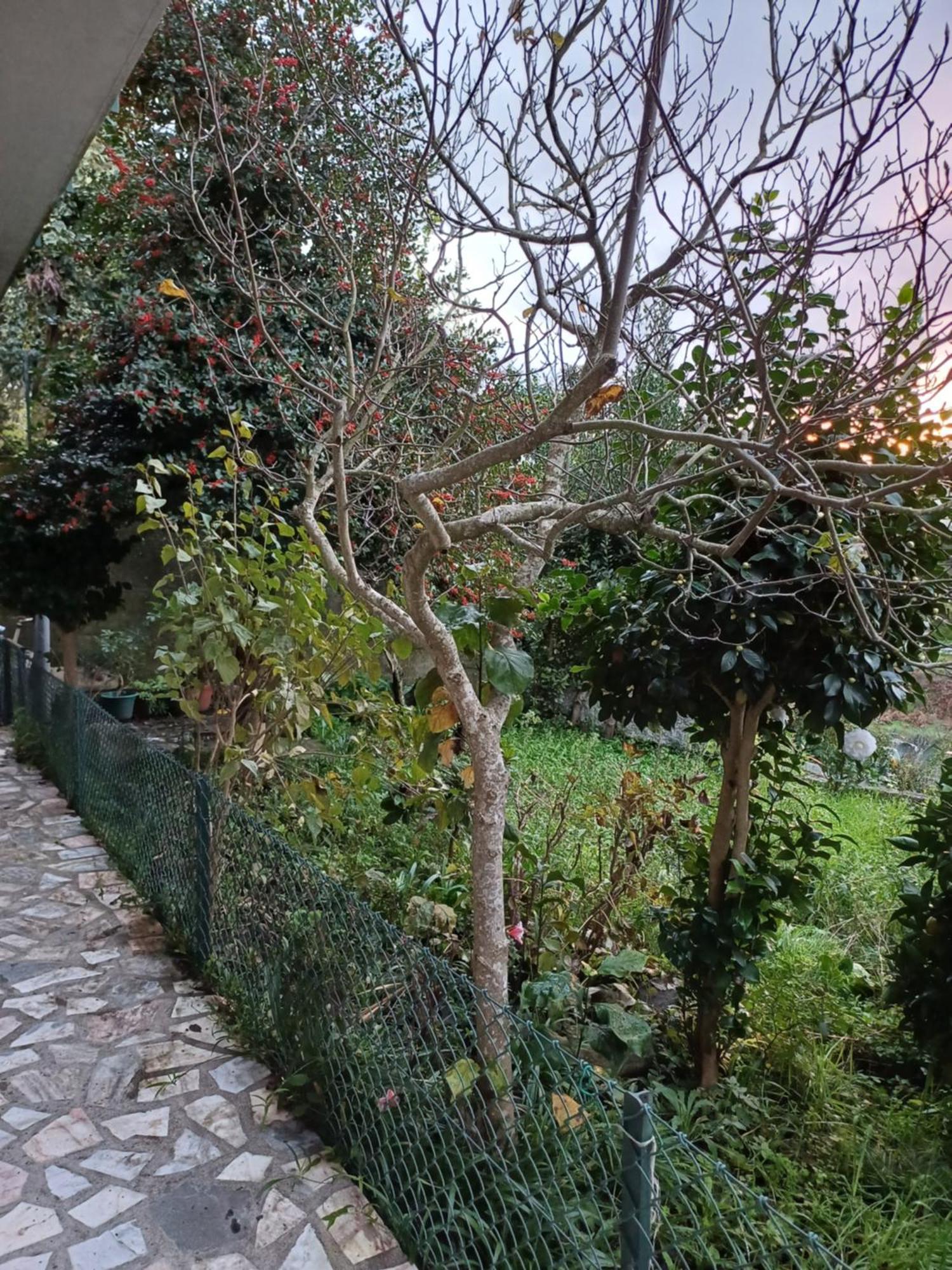 Amarante Residence Exterior photo